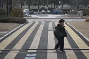 2026春节摄影分享与鉴赏